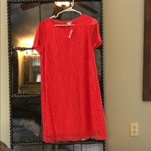 J crew dress, new with tags
